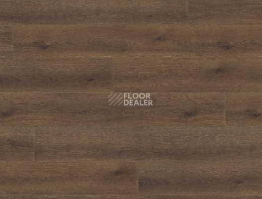 Ламинат Haro Tritty 100 Gran Via 4V ДУБ КОНТУРА ДЫМЧАТЫЙ 538773 фото 1 | FLOORDEALER